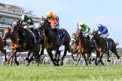 horse racing replays and results.